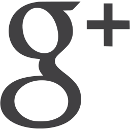 Google+ logo